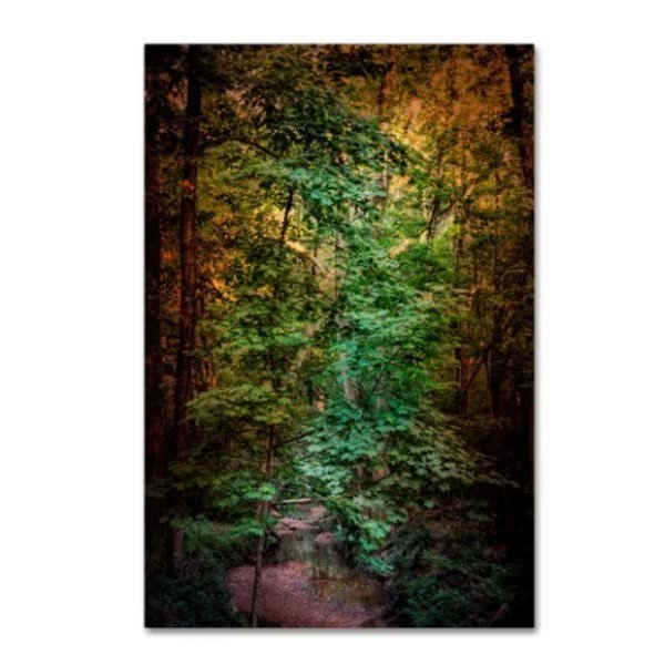 Jai Johnson 'Shiloh Stream 1' Canvas Art, 30x47, Trademark Fine Art, Mfr#: ALI14389-C3047GG